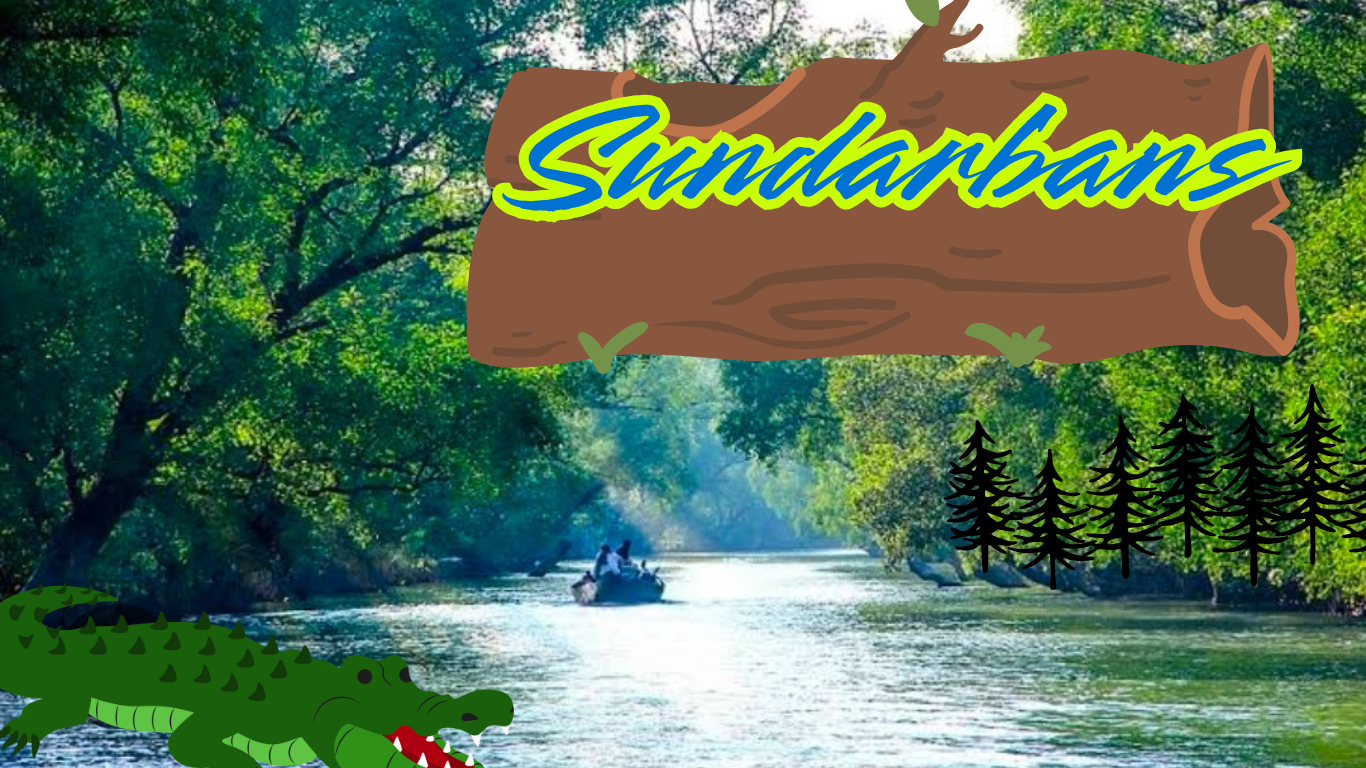 Deep Forest of sundarbans