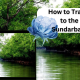 How to Travel to the Sundarbans