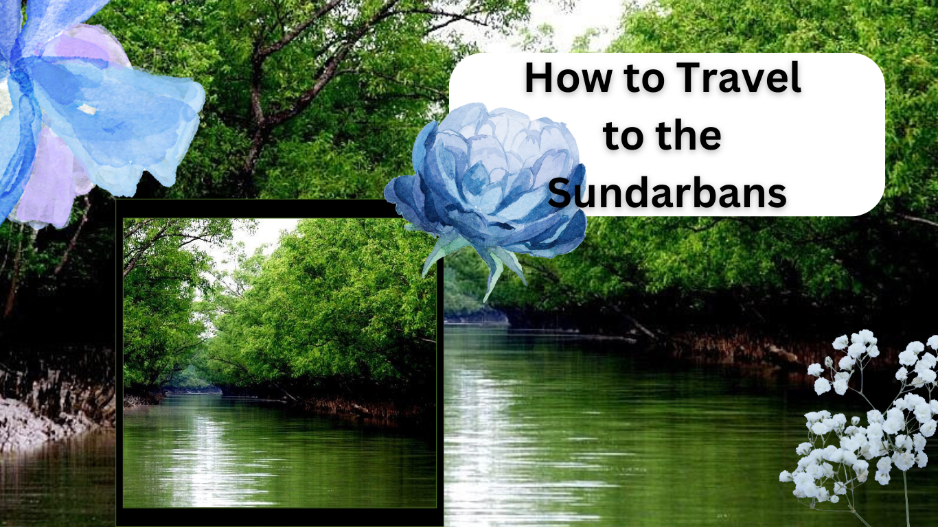 How to Travel to the Sundarbans