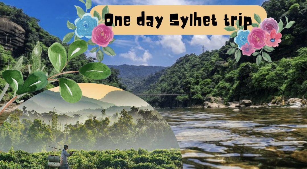 One day Sylhet trip