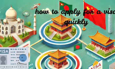 how to apply for a visa quickly