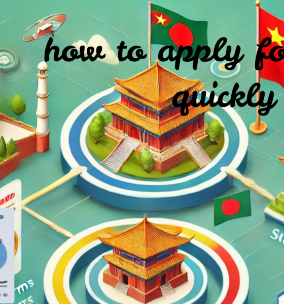 how to apply for a visa quickly