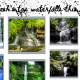 Explore Bangladesh's top waterfalls this monsoon
