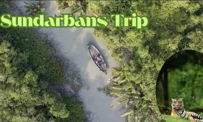 Sundarbans Trip