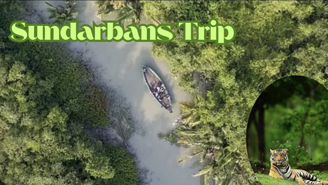 Sundarbans Trip